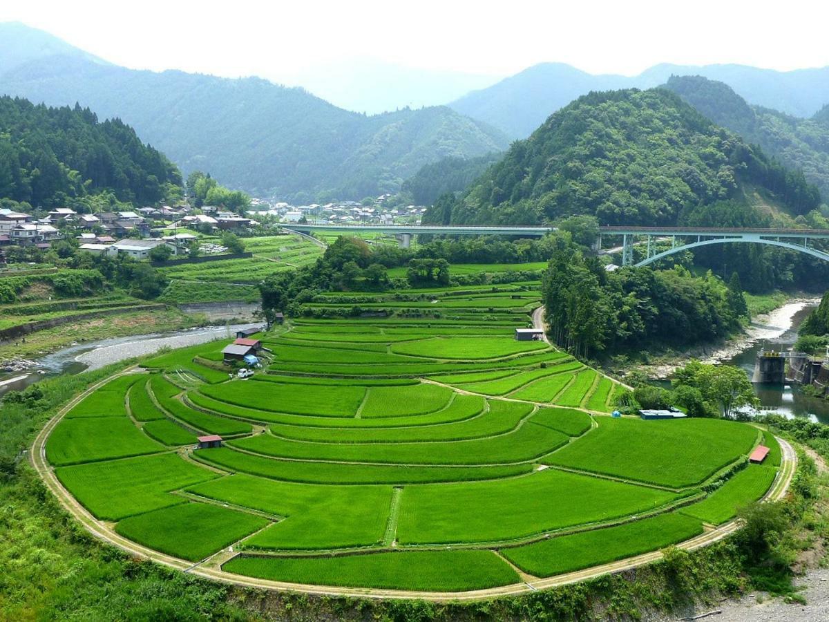 Business Hotel Top Inn Kagurano Wakayama Esterno foto